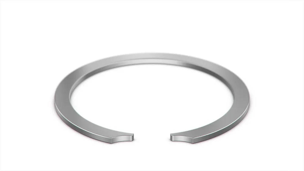 Constant Section Rings